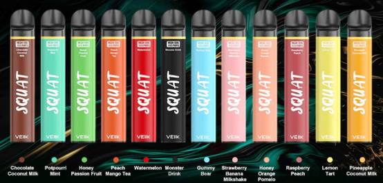 VEIIK Squat Mesh 1800 Puffs Disposable Vape Pen 10pcs Multiple Flavors - VEIIK vape price F086T54